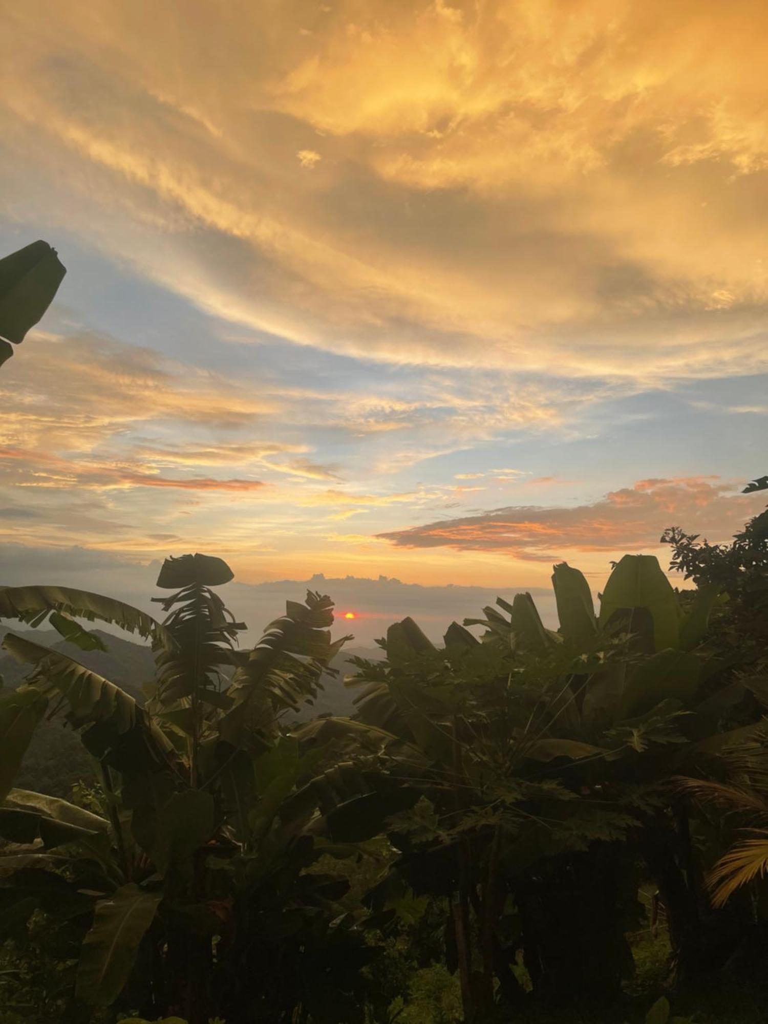 Sunset Serenata 米卡 外观 照片